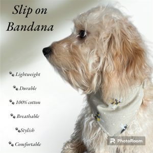 Bandana advert