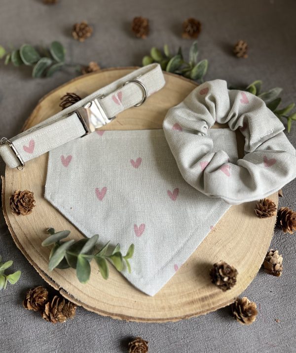 Promotional shot of a dog collar scrunchie and bandana with a heart pattern material